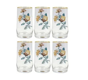 Angela Multi Color Drinking Glasses