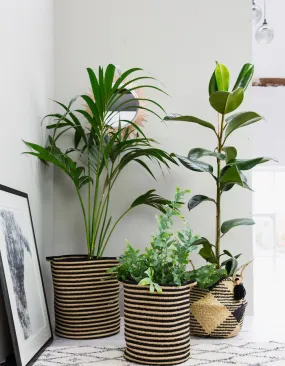 Cotton Woven Stripe Baskets