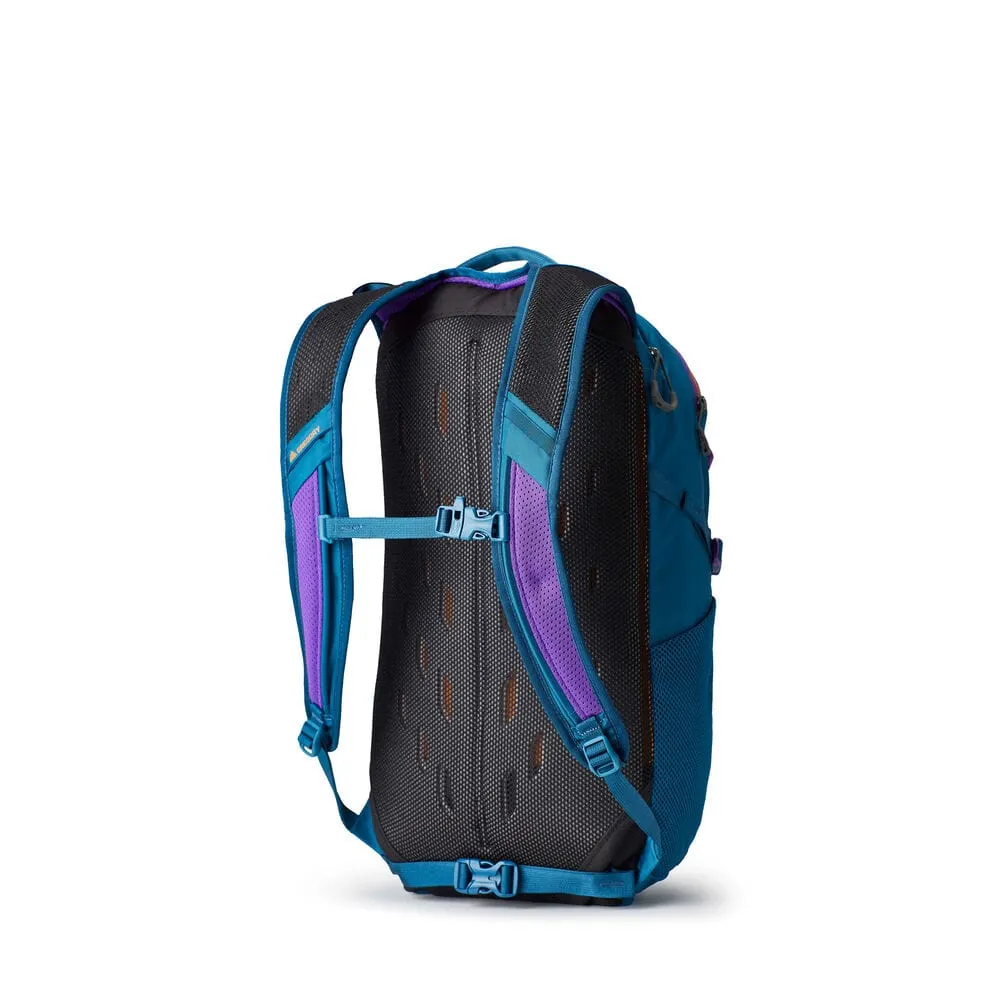 Gregory Nano 20 Backpack