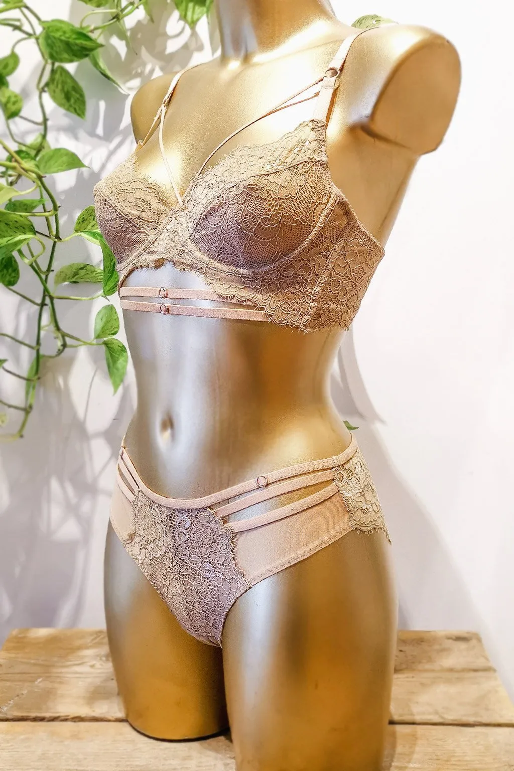 Lingerie Irina Beige Bra